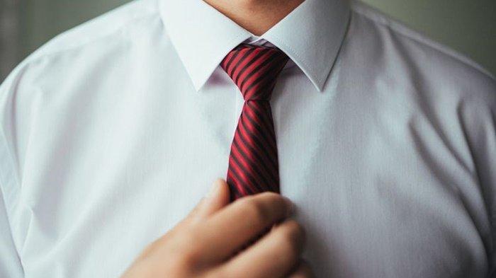 Ilustrasi dasi model full windsor