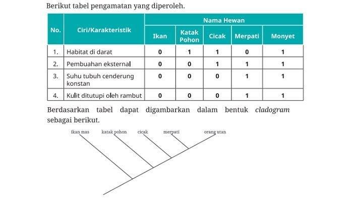 Kunci jawaban Biologi kelas 12
