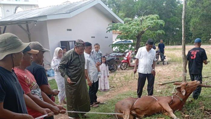 Ketua DPRD Bangka Iskandar, saat penyembelihan hewan kurban Idul Adha 1445 H