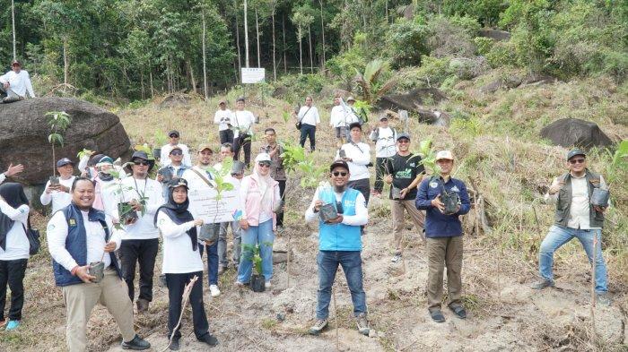 Salah satu lokasi penanaman pohon di gunung asam Belinyu, yang bertujuan untuk menjaga ekosistem flora dan fauna yang ada di hutan gunung asam