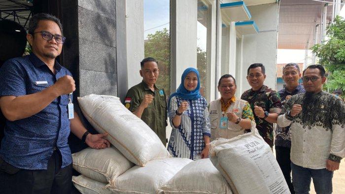 Senior Manager KKU PLN Babel, Anton Wahyu Utomo, Manager PLN UPK Babel, Wayan Budi L., perwakilian Kodim 0413/Bangka, Lattu Hendra, Kadis Pertanian dan Han pangan Provinsi Babel, Edi Romdhoni, GM PLN UIW Babel, Dini Sulityawarti, Ketum Formap Babel, M.Syarif H., Kabid perkebunan dinas pertanian provinsi Babel, Budi, meninjau pupuk berbahan baku Faba yang sudah dikemas didalam karung untuk penggunaan terbatas