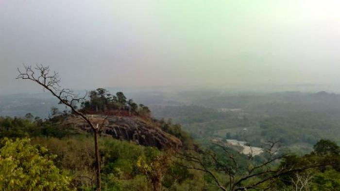 Bukit Pau