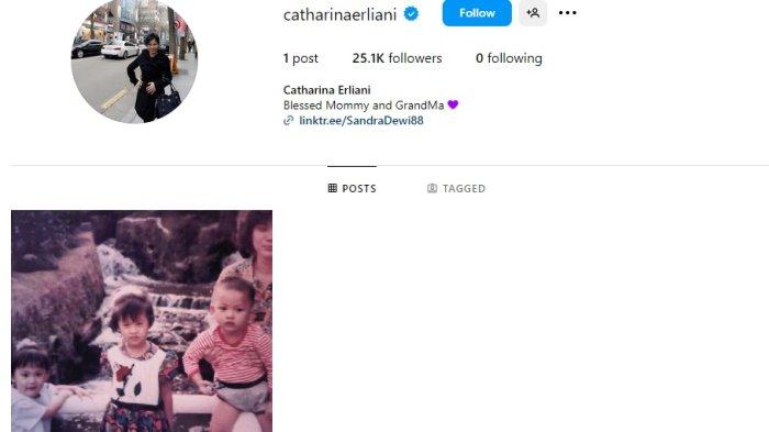 Akun Instagram ibu Sandra Dewi, Catharina Erlian.