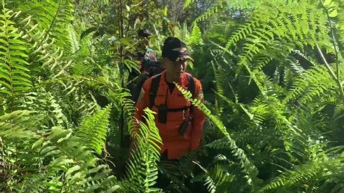 Hutan lebat dan medan tanah gambut berair menjadi kendala Tim Gabungan dalam melakukan upaya menemukan Aditya Dharma Santoso, Senin (6/5/2024).
