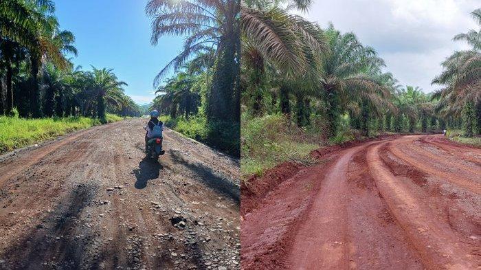 LABIL - Inilah jalan HGU PTPN yang menjadi akses utama bagi warga Desa Tebingsiring menuju Pelaihari. Di beberapa tempat, badan jalannya labil dan sulit dilintasi terutama pascahujan,
