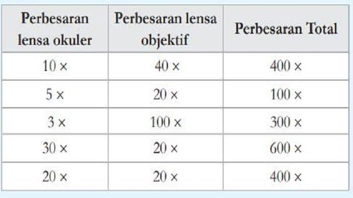 Jawaban soal nomor 3 Review Bab 1, IPA Kelas 8 SMP/Mts Kurikulum Merdeka.