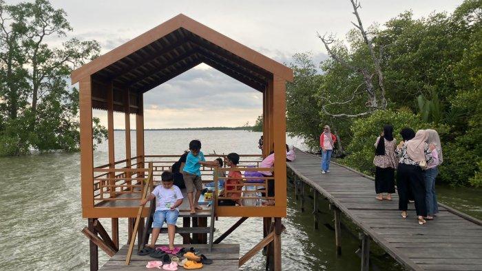 Objek Wisata Mangrove Kersik Putih di Batulicin, masuk lokasi sementara ini tak dipungut biaya atau gratis