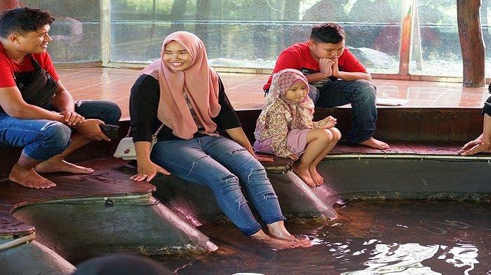 Wahana refleksi ikan di Amanah Borneo Park.