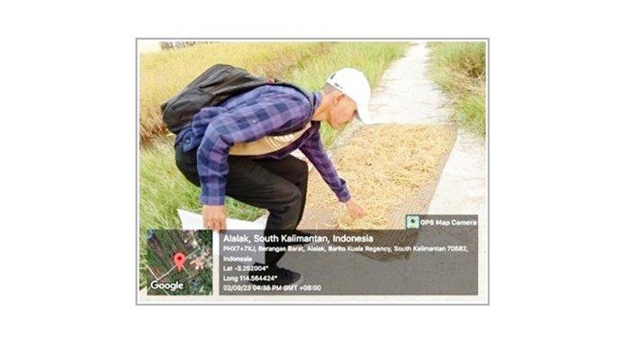 Proses awal dari hasil mengatam benih di Desa Beringin, Kecamatan Alalak, Kabupaten Barito Kuala (Batola), Provinsi Kalimantan Selatan.