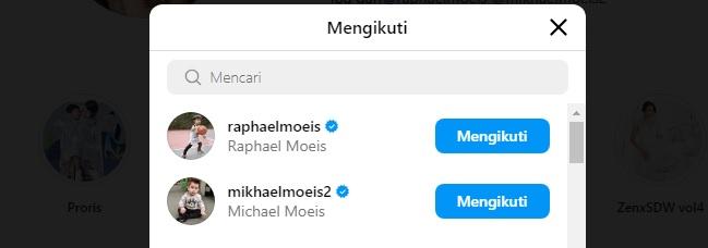 Sandra Dewi hanya follow akun anaknya.