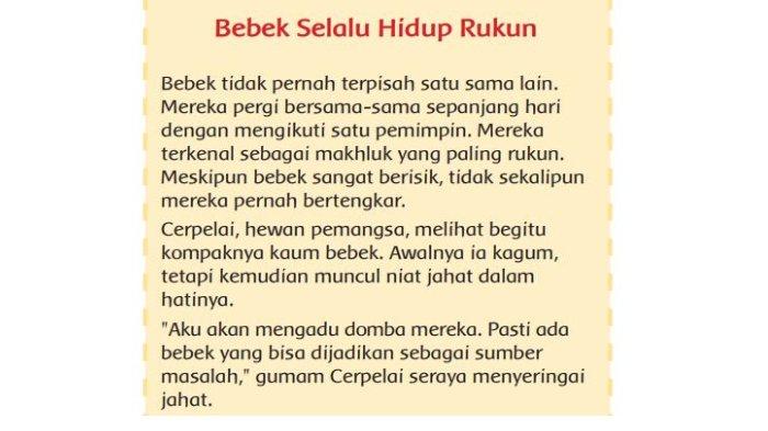 Bebek tidak mau bertengkar karena mereka …
