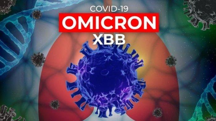 Kementrian Kesehatan (Kemenkes) telah mendeteksi adannya kasus Covid-19 subvarian Omicron XBB telah terdeteksi di Indonesia.