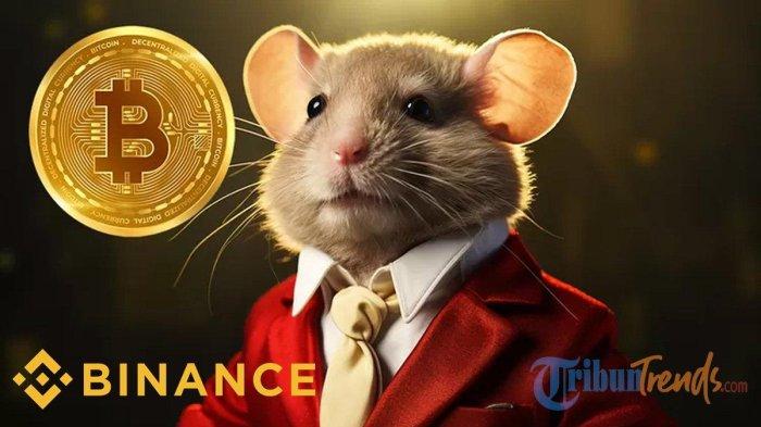 Yuk segara dapatkan sandi harian, Daily Combo dan Daily Cipher Hamster Kombat, Selasa 17 September 2024.