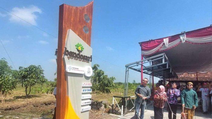 Bupati Sleman Dra. Hj. Kustini Sri Purnomo, Kepala Biro Administrasi Akademik Kemahasiswaan dan Kerjasama UIN Sunan Kalijaga Yogyakarta Dr.H.Mamat Rahmatullah,MM, Ketua Lembaga Penelitian dan Pengabdian Masyarakat UIN Sunan Kalijaga Yogyakarta Dr. Muhrisun,S.Ag.,BSW.,M.Ag.,MSW bersama Ketua Yayasan AHM Ahmad Muhibbuddin meresmikan Program KKN Satu Hati Pengembangan Eduwisata Kebun Buah Desa Bendosari, Sleman (18/7).