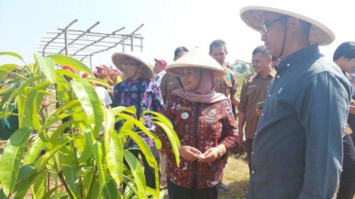 Bupati Sleman - Kustini Sri Purnomo bersama Ketua Yayasan AHM Ahmad Muhibbuddin sedang melihat area pengembangan Desa Bendosari, Sleman- Yogyakarta.
