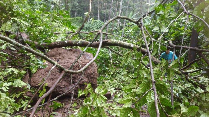 Tim SAR gabungan membersihkan material longsoran yang menutupi jalan raya Lebakbarang - Karanganyar, Pekalongan, Kamis (15/2/2024). Material longsor berupa batu besar menutupi jalan antar-kecamatan itu.