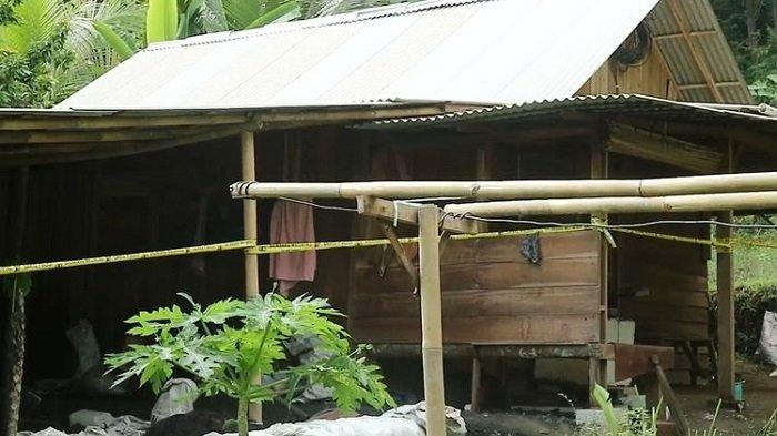 Penampakan gubuk lokasi tambang emas ilegal di Dukuh Wanayasa, Desa Karangmojo, Kecamatan Karanggayam, Kabupaten Kebumen, Jateng, Selasa (2/7/2024). Gubuk ini berada di tengah perkebunan pepaya.