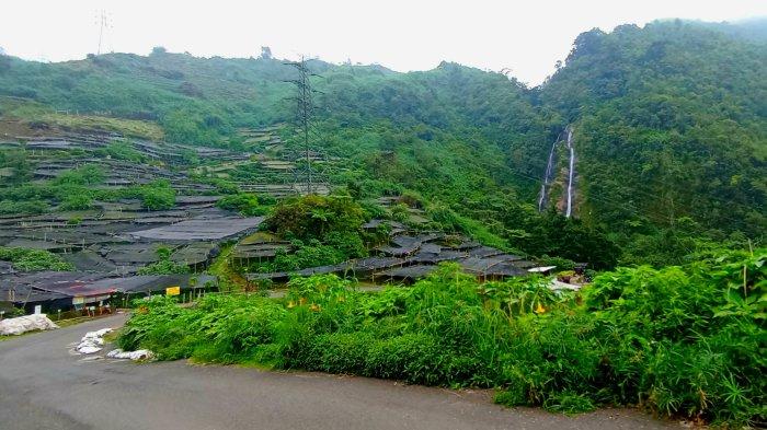 Jalur alternatif menuju ke objek wisata Dieng Wonosobo melalui jalur Sikarim, jalan berkelok dan menanjak perlu diwaspadai, Selasa (26/12/2023). Sepanjang jalur ini bakal disuguhkan pemandangan apik.