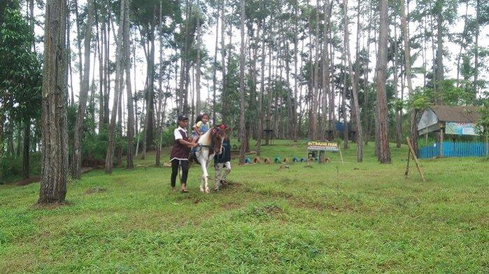 Wisatawan cilik naik kuda di wahana Dombalian di Kemit Forest Education di Sidareja, Kabupaten Cilacap, Jawa Tengah (Jateng), Kamis (20/6/2024).