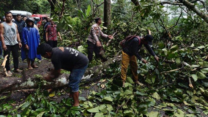 Kapolsek Kajen, AKP Turkhan membantu warga untuk membersihkan batang pohon yang tumbang di jalur provinsi jalur Kajen -Paninggaran Kabupaten Pekalongan - Banjarnegara. Akibat pohon tumbang, jalur tersebut macet 30 menit, Senin (11/3/2024).