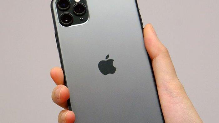 Logo Apple di iPhone 11 Pro(HotHardware)