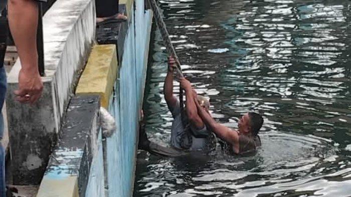 SATPOL PP LINGGA BANTU WARGA - Aksi Erwansyah, anggota Satpol PP Kabupaten Lingga, Kepulauan Riau (Kepri) saat membantu pria jatuh ke laut di Pelabuhan Jagoh, Kabupaten Lingga, Provinsi Kepulauan Riau, Selasa (13/5/2025) sore.