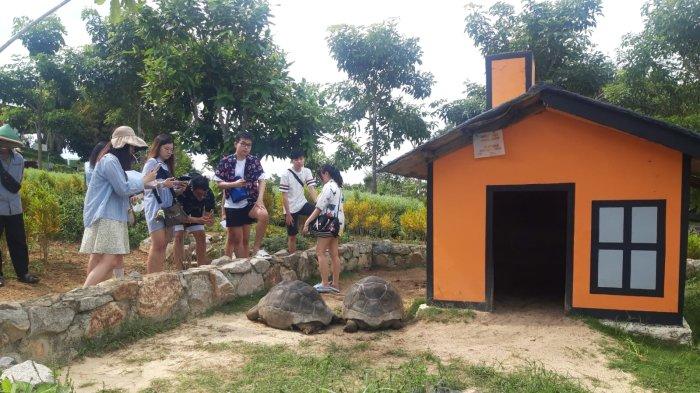 WISATA BINTAN - Pengunjung Taman Wisata Lagoi bagian destinasi wisata Bintan saat melihat koleksi binatang, Kamis (22/12/2022).