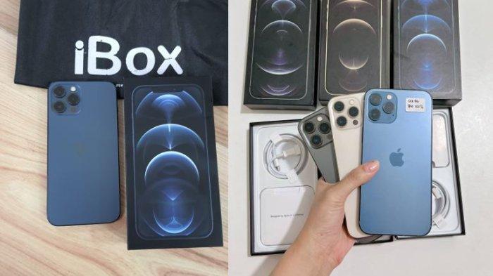 Ilustrasi iPhone 12 Pro Max second di Tokopedia.