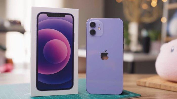 Ilustrasi iPhone 12 dengan warna purple.