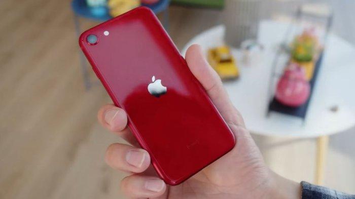 Ilustrasi iPhone SE 3.