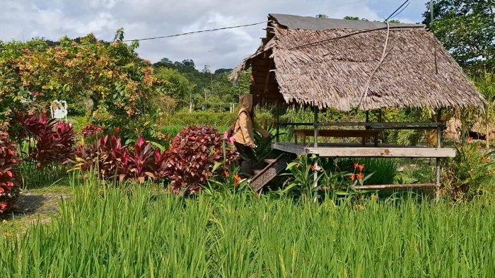 Gazebo di Kampoeng Sawah