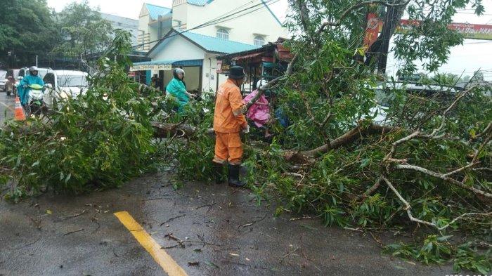 Petugas Badan Penanggulangan Bencana Daerah (BPBD) Tanjungpinang saat membersihkan pohon yang tumbang di Batu 8 Atas atau Jalan Raja Haji Fisabilillah, Tanjungpinang, Minggu (18/05/2025).