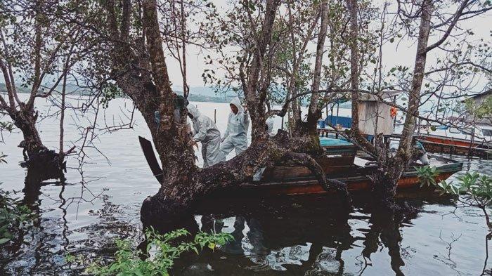 ULAT BULU DI LINGGA - Tim pembasmi ulat bulu saat menginfus pohon perepat di Desa Jagoh, Kecamatan Singkep Barat, Kabupaten Lingga, Provinsi Kepri, Selasa (13/12/2022). Tampak mereka menggunakan Alat Pelindung Diri (APD) agar terhindar dari gatal akibat terkena ulat bulu.
