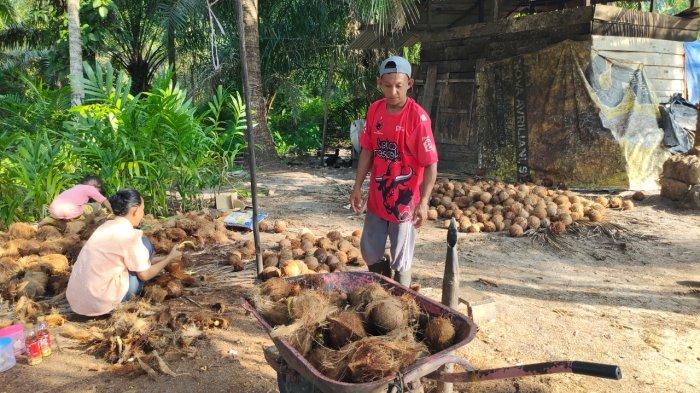 Rustam (37), warga Dusun Remik, Desa Marok Kecil, Kecamatan Singkep Selatan, Kabupaten Lingga, Provinsi Kepri mengolah usaha kelapa menjadi kopra di halaman rumahnya, Selasa (5/11/2024).