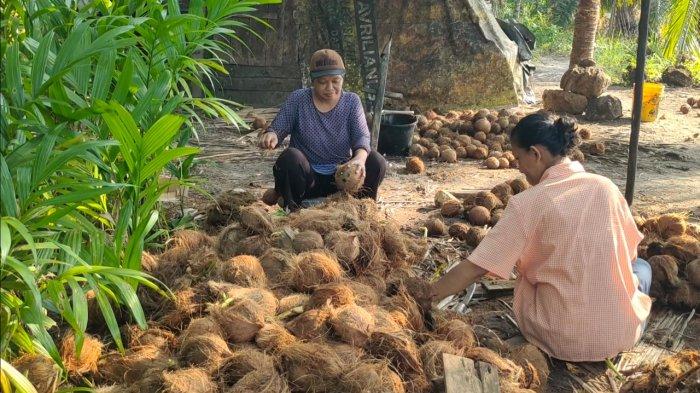 Istri dan kerabat Rustam turut membantu usaha kelapa Rustam di Dusun Remik, Desa Marok Kecil, Kecamatan Singkep Selatan, Kabupaten Lingga, Provinsi Kepri.