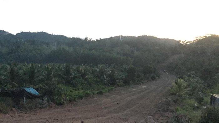 Pembukaan lahan untuk relokasi warga rempang yang terdampak proyek Strategis nasional