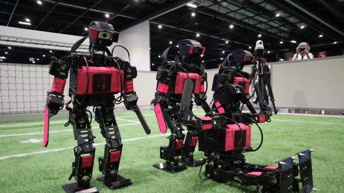 Robot Humanoid Kidsize