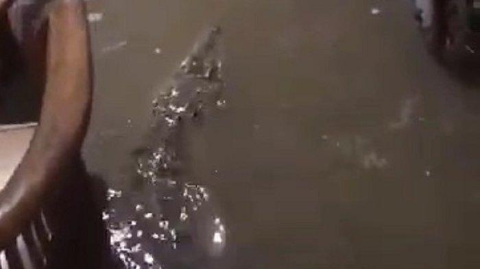 Heboh, seekor buaya memasuki rumah warga di Kampung Kedaung, Kecamatan Babelan, Kabupaten Bekasi, Jawa Barat saat terjadi banjir pada Selasa (28/1/2025) malam.
