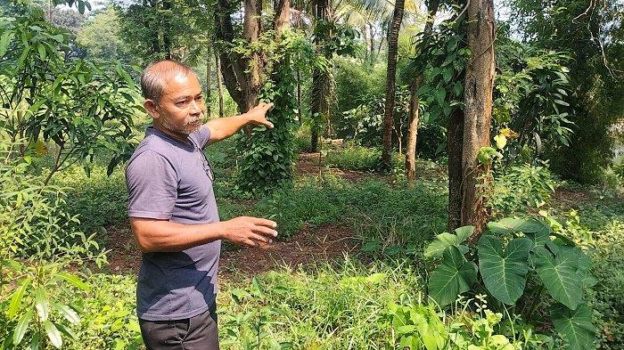 Ketua RT 06/RW 07 Rangkapan Jaya, Kuswanto menunjukkan lokasi terjadinya aksi bullying di Jalan Pitara, Pancoran Mas, Kota Depok. (TribunnewsDepok.com/M Rifqi Ibnumasy)