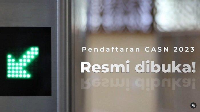 Hari ini, Sabtu 16 September 2023, sebanyak 596 instansi dijadwalkan akan menggelar pengumuman seleksi CPNS