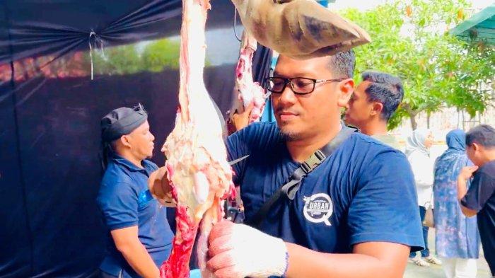 Panitia Qurban Idul Adha 1446H, melepas daging dari bagian sapi yang telah di sembelih para juru sembelih yang berpengalaman