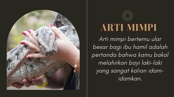 Ilustrasi Arti Mimpi Bertemu Ular Bagi Ibu Hamil. Bak Dapat Durian Runtuh! Ini Arti Mimpi Bertemu Ular Besar bagi Ibu Hamil Pertanda Kebahagiaan