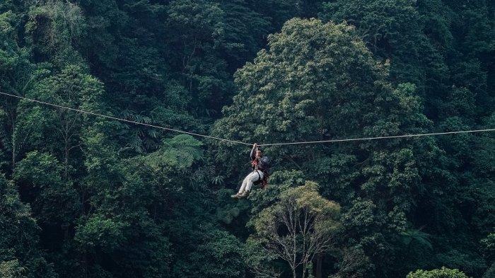 Rekomendasi tempat wisata di Bogor kawasan Ciapus, salah satunya Bogor Treetop Zipline Adventure.