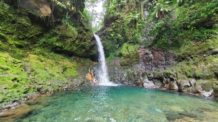 Curug Goa Lumut Indah merupakan tempat wisata air terjun di Bogor yang punya kolam jernih, airnya pun terasa segar dan diperbolehkan untuk berenang.