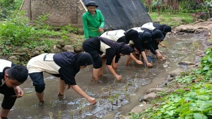 JBound, memiliki persawahan untuk belajar menanam padi dan juga lahan sayur kangkung yang bisa dipanen jika sudah waktunya.