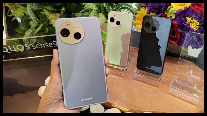 SHARP AQUOS SENSE9 - Sharp AQUOS sense9