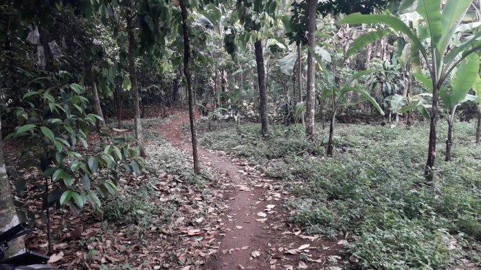Sebuah area jalan kecil perkampungan di Kampung Pasirangin, Desa Pasirmukti, Kecamatan Citeureup, Kabupaten Bogor menurut warga setempat memiliki cerita-cerita berbau mistis.