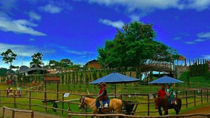 Sesuai dengan temanya yang mengusung konsep peternakan ala Eropa, di tempat wisata Bogor The Ranch ini, kamu bisa bisa menunggangi kuda sambil melintasi area peternakan.