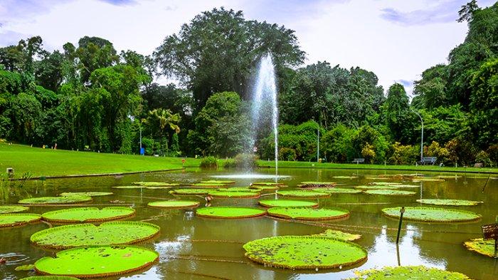 Kebun Raya Bogor jadi pilihan tempat wisata yang jadi favorit saat libur tahun baru karena punya beragam ativitas seru.