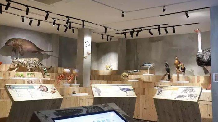 Animalium BRIN, tempat wisata baru di Bogor dengan koleksi satwa liar yang beragam.
